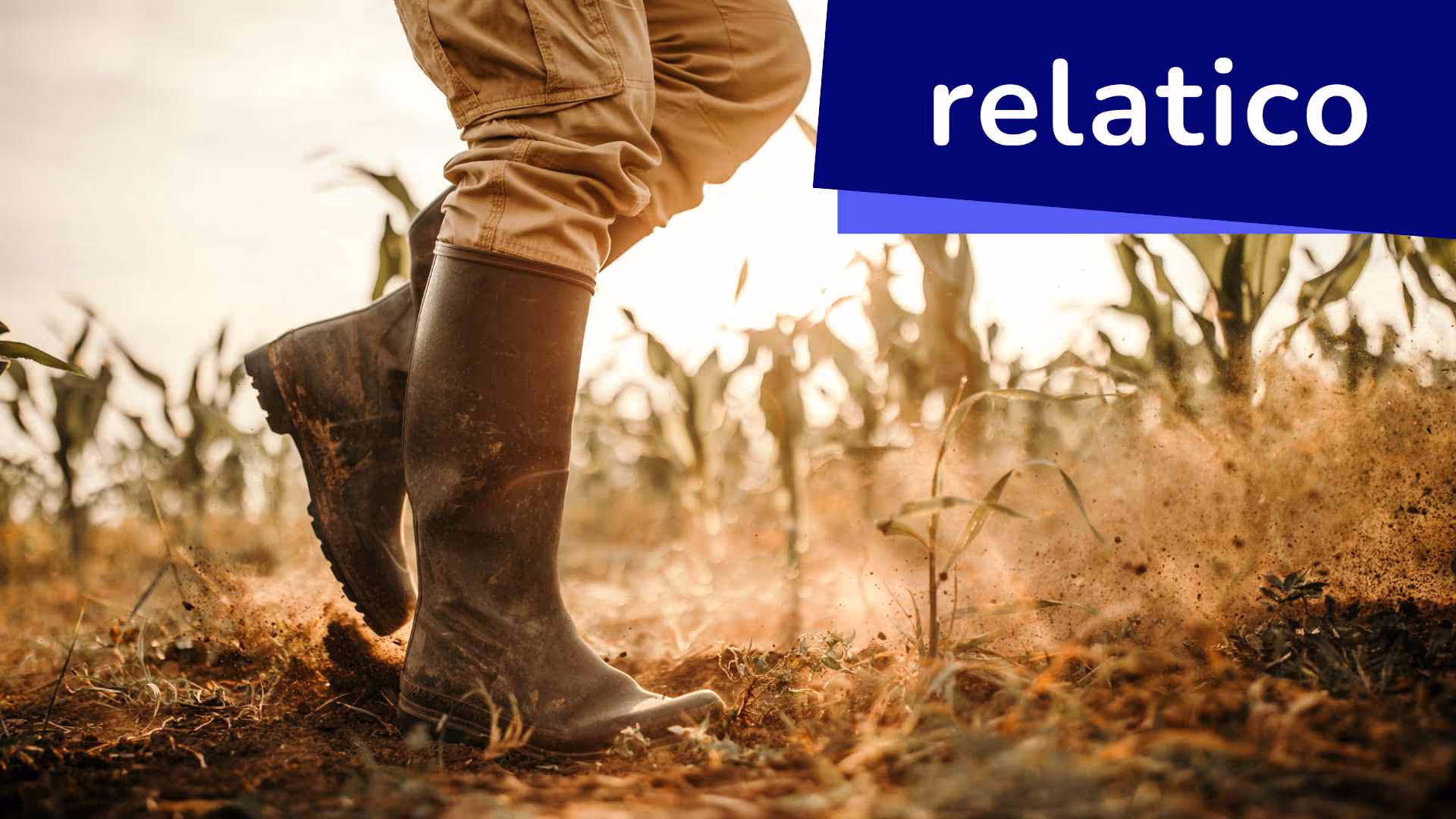 Erfahren Sie mehr über die Wirksamkeit von Kleinbauernprojekten und direkten Geldtransfers im Zusammenhang mit SRM-Software und Nachhaltigkeit. Erfahren Sie, wie die innovative Grundeinkommensinitiative von Give Directly in Kenia die traditionelle Agrarhilfe neu gestaltet, eine nachhaltige Entwicklung fördert und das Potenzial von SRM-Software zur Unterstützung von wirtschaftlicher Selbstbestimmung und Umweltschutz demonstriert.